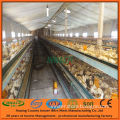 PVC Coated Chicks Cage/ Layer Cages